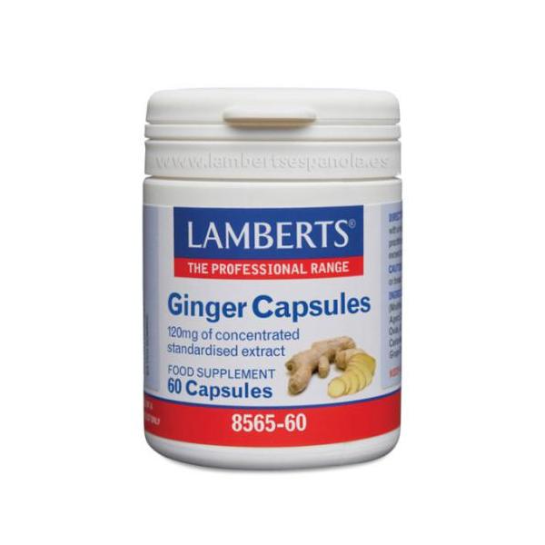 JENGIBRE (nueva formula)14.400MG. 60CAPS.