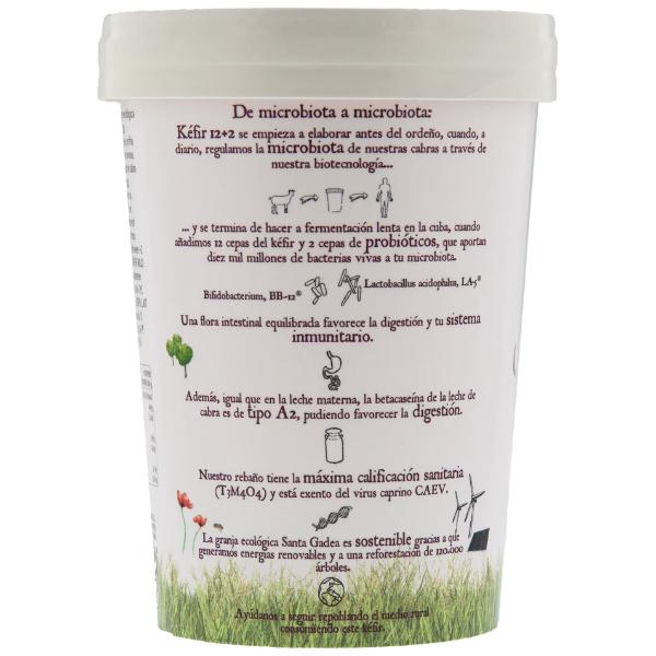 KEFIR CABRA BIO CON PROBIOTICOS 420G (SANTA GADEA)