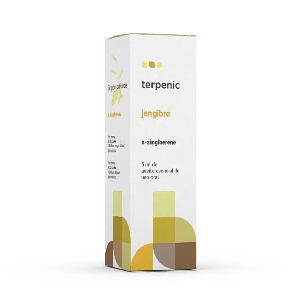 ESENCIAL JENGIBRE 5ML (TERPENIC)