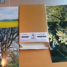 POSTALES DR.BACH 40 UND.