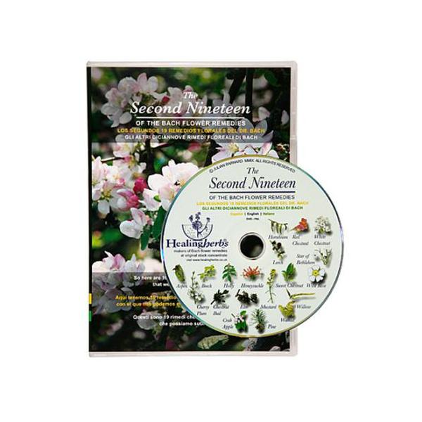 DVD BACH LOS SEGUNDOS 19