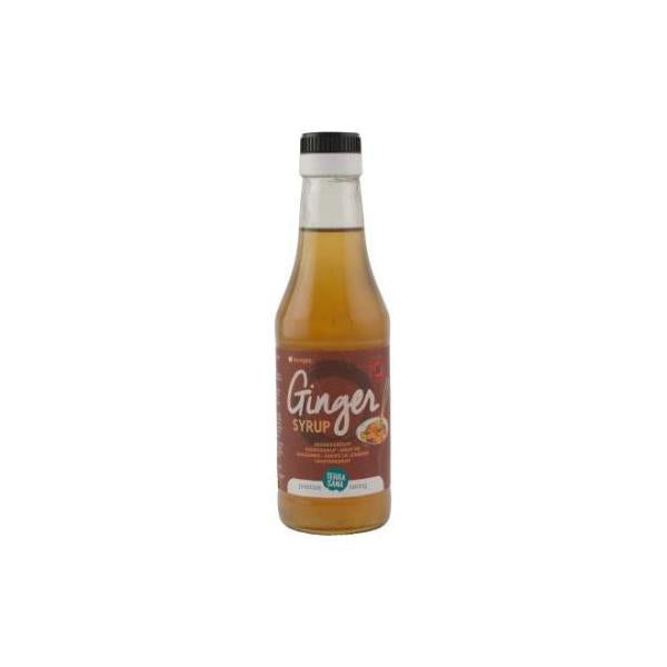 SIROPE JENGIBRE BIO 250ML. TERRASANA