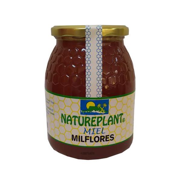 MIEL MIL FLORES NATUREPLANT 1KG.