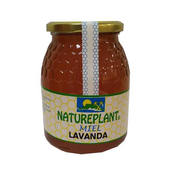 MIEL LAVANDA (ESPLIEGO) NATUREP. 1KG