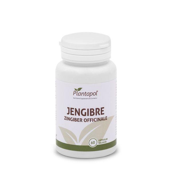 JENGIBRE 60CAPS 600MG (PLANTA POL)