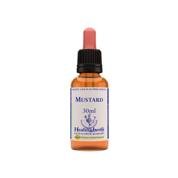 BACH MUSTARD / MOSTAZA 30 ML.BIO