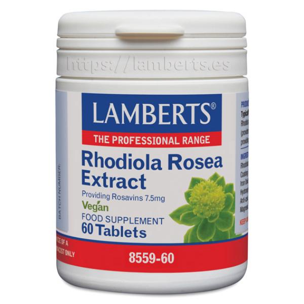 RHODIOLA ROSEA 3125MG 60 CAPSULAS (LAMBERTS)