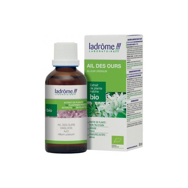 EXTRACTO AJO BIO.50ML.(SOLNATURAL)