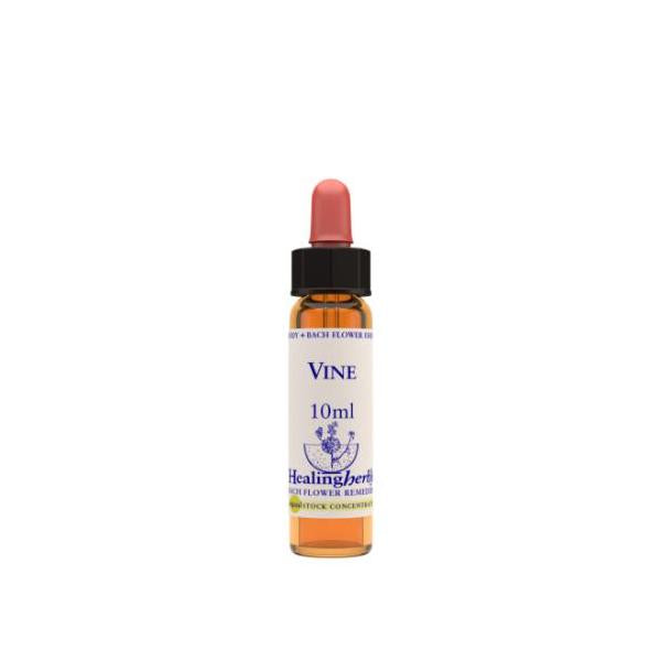 BACH VINE / VID 10 ML.  BIO