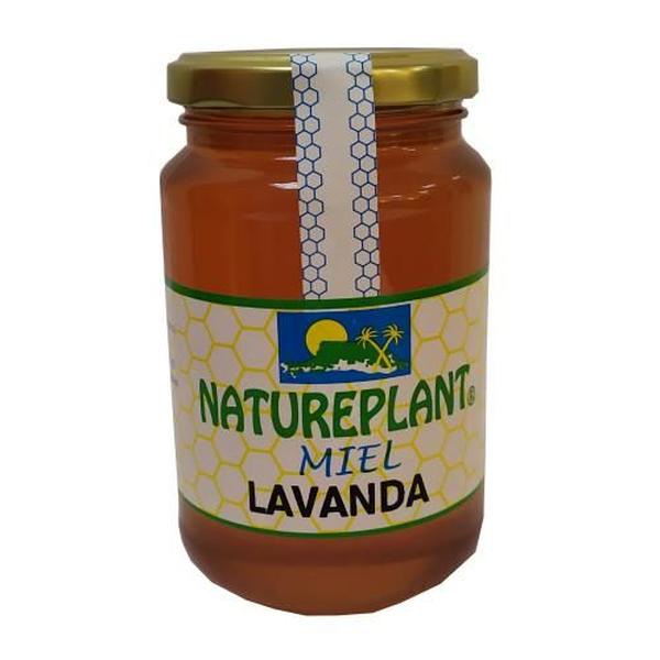 MIEL LAVANDA (ESPLIEGO) NATUREP. 500G