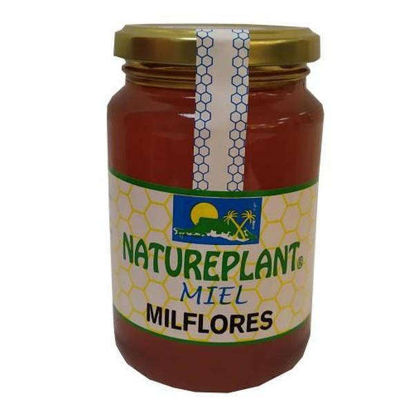 MIEL MIL FLORES NATUREPLANT 500GR.