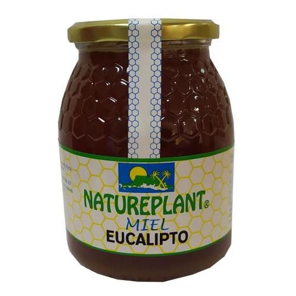 MIEL EUCALIPTO NATUREPLANT 1KG.