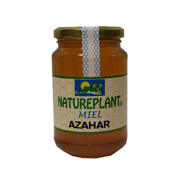 MIEL AZAHAR NATUREPLANT 500GR.