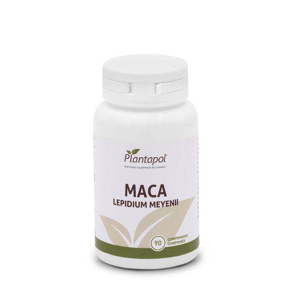 MACA 90C. 560M. (P.POL)