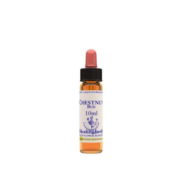 BACH CHESNUT BUD / B.CASTAÑO 10 ML.BIO